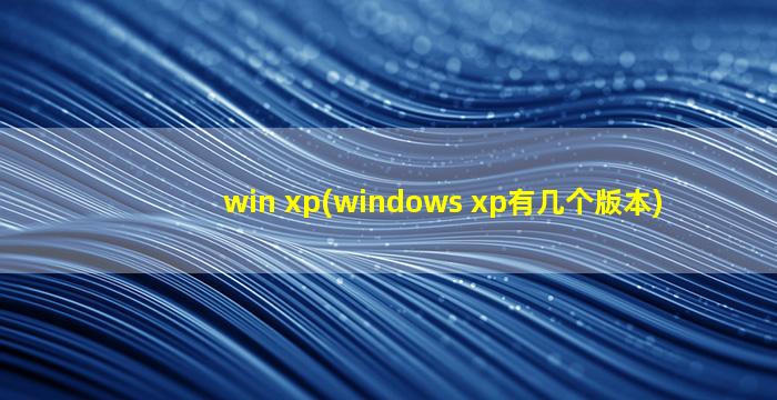 win xp(windows xp有几个版本)